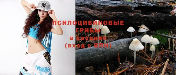 ПСИЛОЦИБИНОВЫЕ ГРИБЫ Абинск