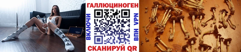 Галлюциногенные грибы MAGIC MUSHROOMS  Жердевка 